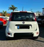 fiat-panda-1-0-gse-mild-hybrid-2021-gasolina-999cc