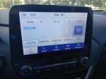 ford-puma-1-0-ecoboost-hybrid-2023-gasolina-999cc