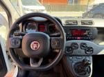 fiat-panda-2022-gasolina-999cc