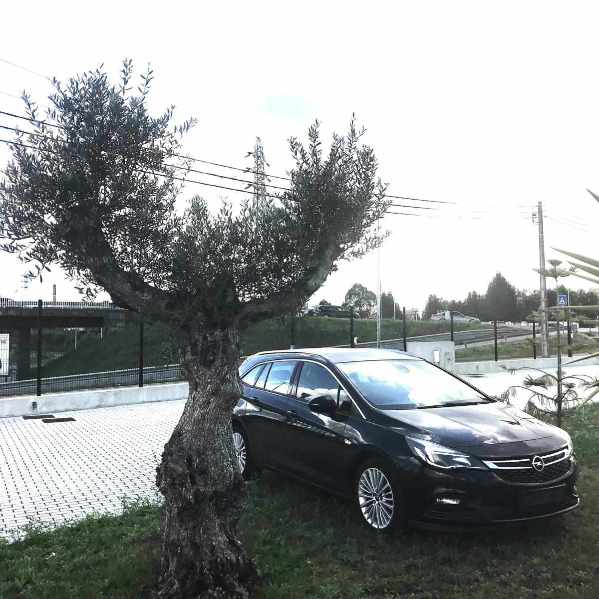 opel-astra-sport-tourer-2017-diesel-1598cc