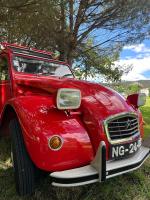 citroen-2cv-1983-gasolina-602cc