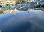bmw-i3-2016-hibrido-a-gasolina-647cc