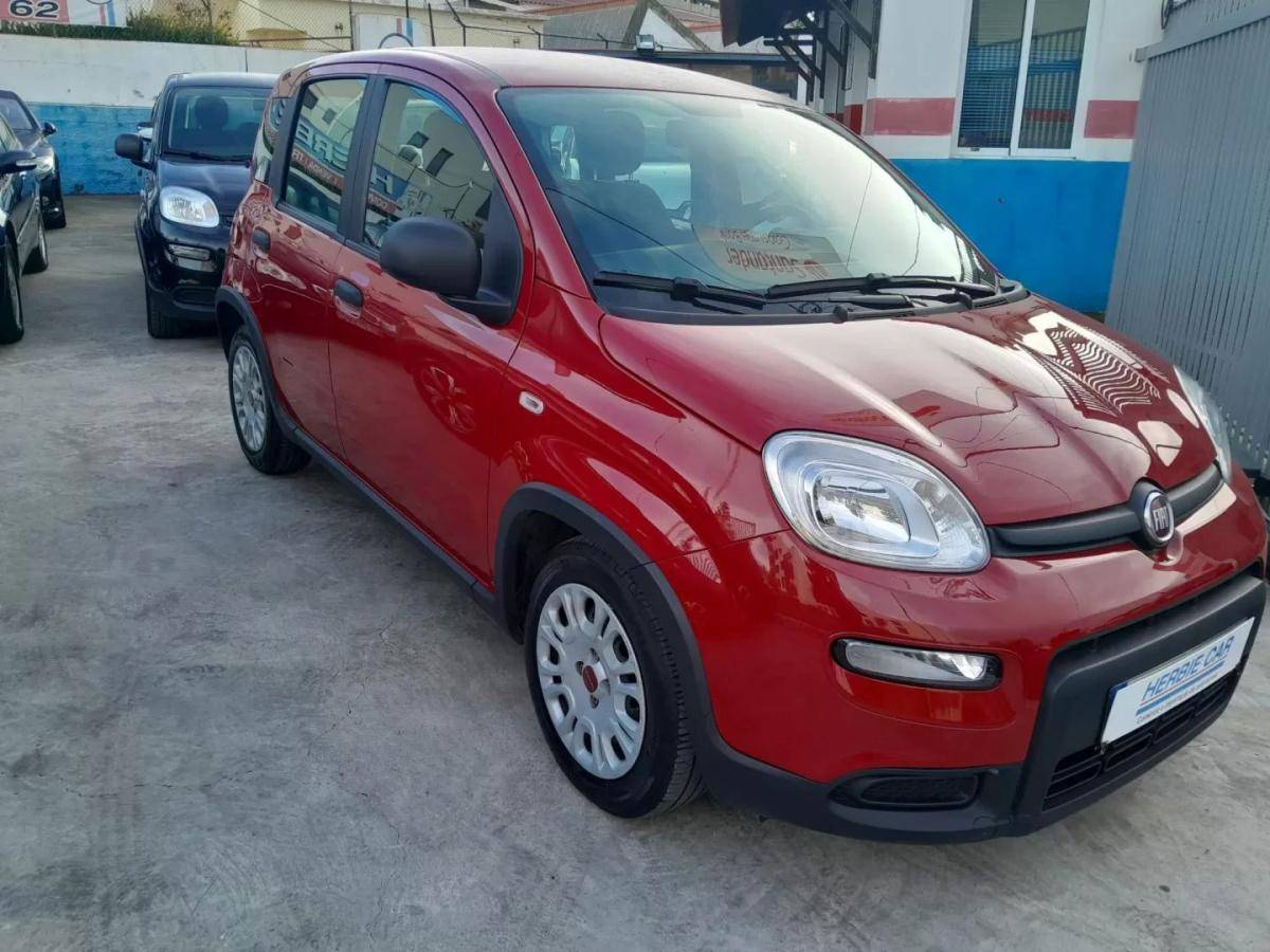 fiat-panda-2024-gasolina-999cc