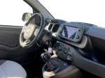 fiat-panda-2022-gasolina-999cc