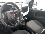 fiat-panda-2025-gasolina-999cc