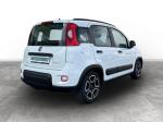 fiat-panda-2022-gasolina-999cc