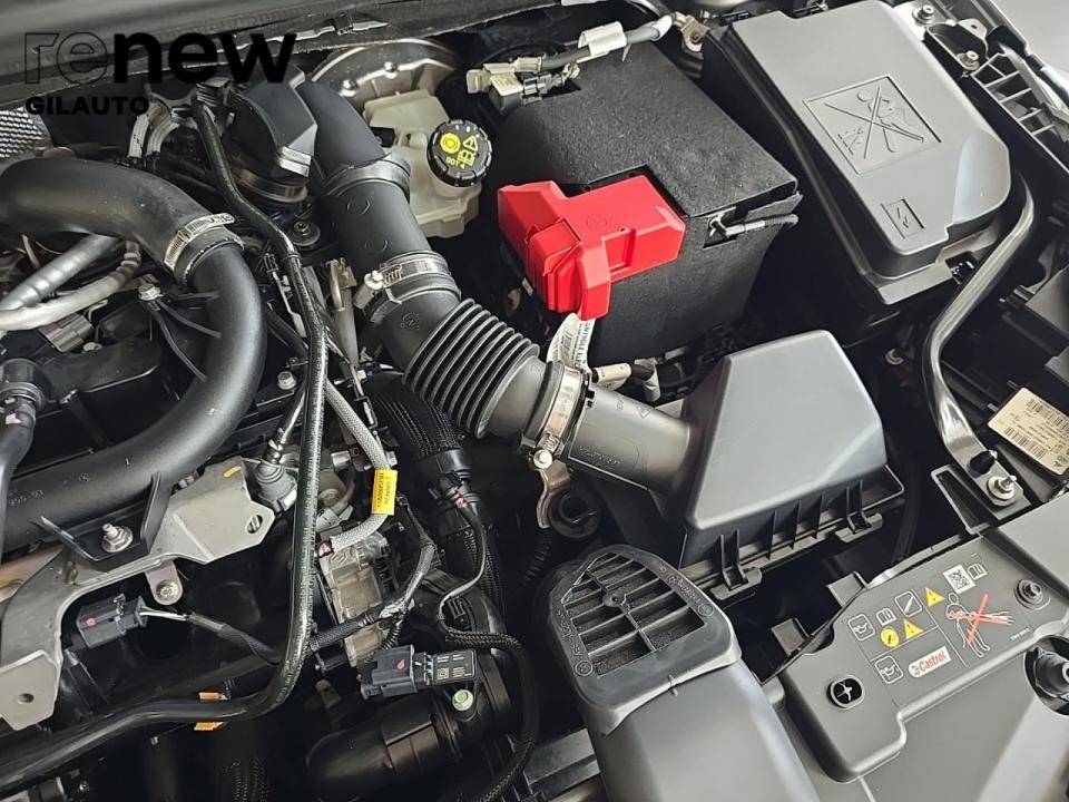 renault-clio-2024-gasolina-1000cc