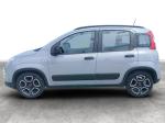 fiat-panda-2022-gasolina-999cc