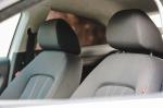 seat-ibiza-1-2-tdi-2011-diesel-1199cc