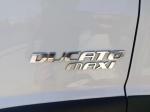 fiat-ducato-2016-diesel-2300cc
