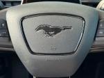ford-mustang-2022-eletrico-0cc