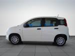 fiat-panda-2025-gasolina-999cc