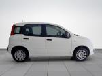 fiat-panda-2025-gasolina-999cc