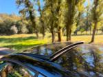 seat-ibiza-2016-gasolina-1798cc
