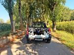 dacia-logan-2009-gasolina-1598cc