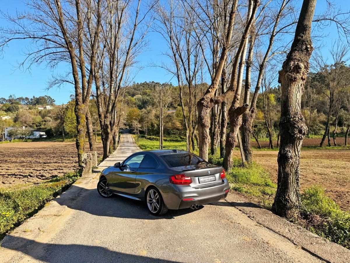 bmw-serie-2-2014-diesel-1995cc