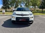 fiat-panda-2022-gasolina-999cc