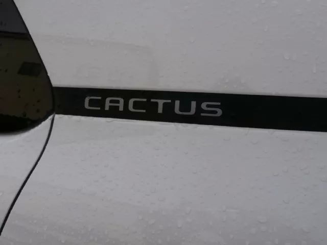 citroen-c4-cactus-2020-gasolina-1199cc