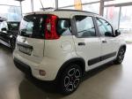 fiat-panda-2022-hibrido-a-gasolina-999cc