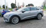 audi-e-tron-2020-eletrico-200cc
