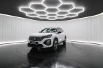 peugeot-2008-2025-eletrico-1cc
