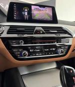 bmw-serie-5-520d-2019-diesel-1995cc