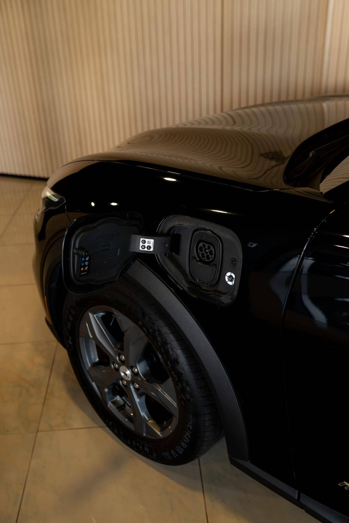 ford-mustang-2021-eletrico-500cc