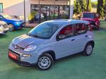 fiat-panda-2023-gasolina-999cc