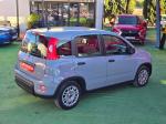 fiat-panda-2023-gasolina-999cc