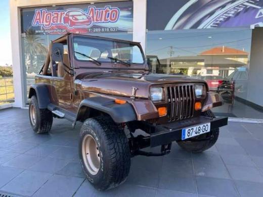 jeep-wrangler-1995-gasolina-4200cc
