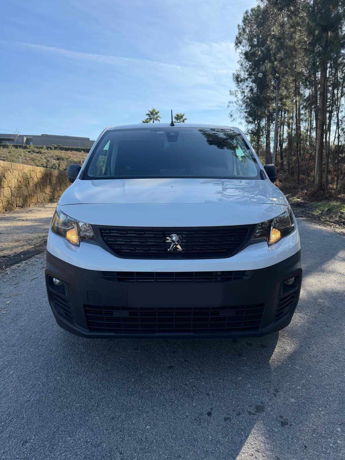 peugeot-partner-1-6-99cv-2019-diesel-1560cc