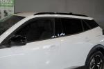 peugeot-2008-2024-eletrico-0cc