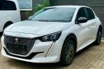 peugeot-208-2022-eletrico-500cc