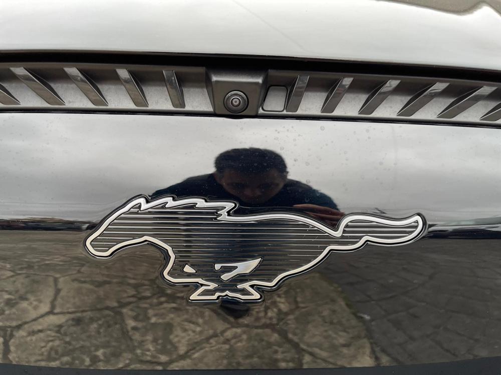 ford-mustang-mach-e-2021-eletrico-0cc