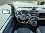 fiat-panda-2022-gasolina-999cc