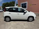 fiat-panda-2019-gasolina-1242cc