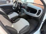 fiat-panda-2019-gasolina-1242cc