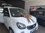 smart-forfour-2015-gasolina-999cc