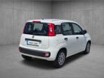 fiat-panda-2022-gasolina-999cc