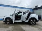 peugeot-2008-2024-gasolina-1199cc