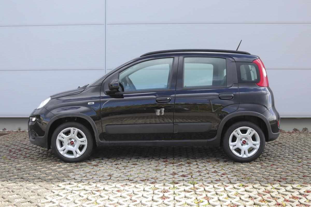 fiat-panda-1-2-69cv-2022-gasolina-1242cc