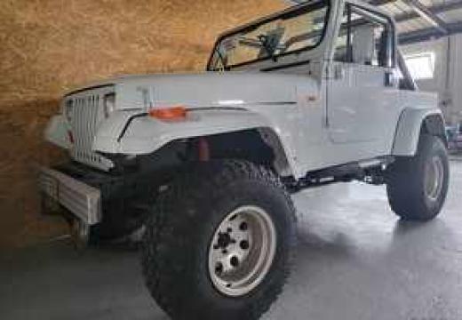 jeep-wrangler-4-0-4x4-1991-gasolina-3964cc