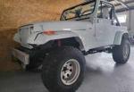 jeep-wrangler-4-0-4x4-1991-gasolina-3964cc