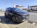 hyundai-kauai-2022-eletrico-0cc