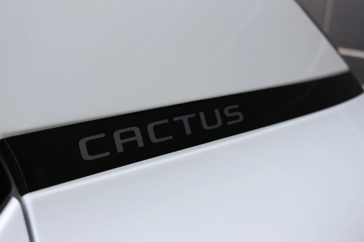 citroen-c4-cactus-2019-gasolina-1199cc
