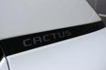 citroen-c4-cactus-2019-gasolina-1199cc
