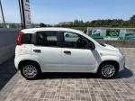 fiat-panda-2025-gasolina-999cc
