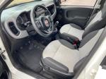 fiat-panda-2019-gasolina-1242cc