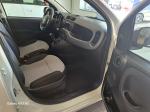 fiat-panda-2019-gasolina-1242cc