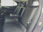 ds-n4-2026-gasolina-1199cc